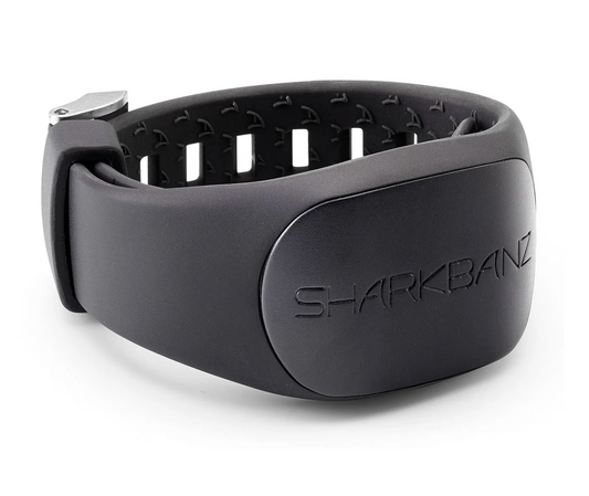 Sharkbanz 2 (Slate)