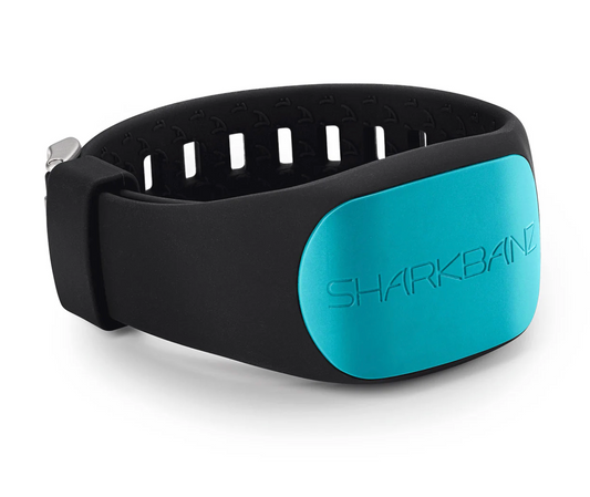 Sharkbanz 2 (Aqua)