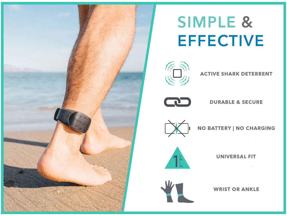 Sharkbanz 2 (Aqua)